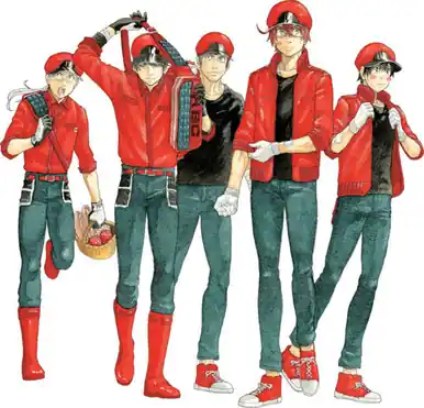 Cells at Work! CODE BLACK 6 by Shigemitsu Harada Affare