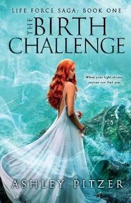 The Birth Challenge by Ashley Pitzer Di Tendenza