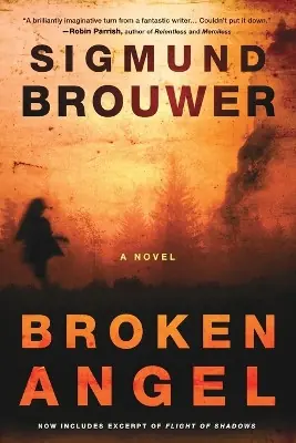 Compra Online Broken Angel A Novel Sigmund Brouwer 9780307457196
