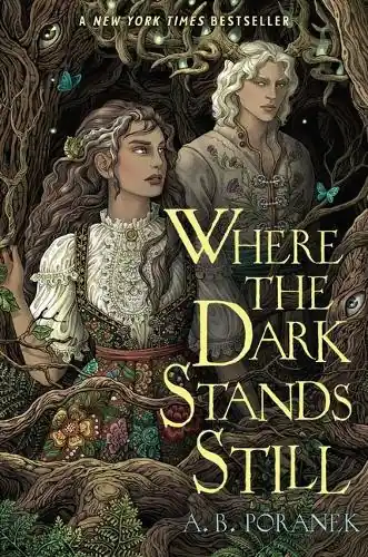 Where the Dark Stands Still A B Poranek 9781665936484 Ultimissimo Modello