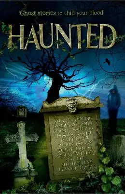 Haunted Susan Cooper 9781849393218 Novità